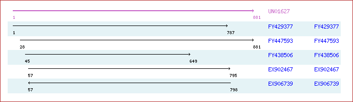 Unigene image
