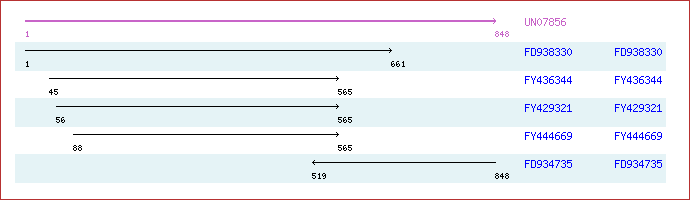 Unigene image