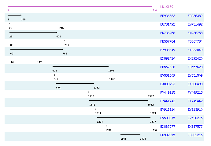 Unigene image