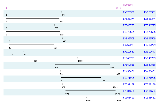 Unigene image