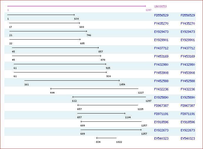 Unigene image