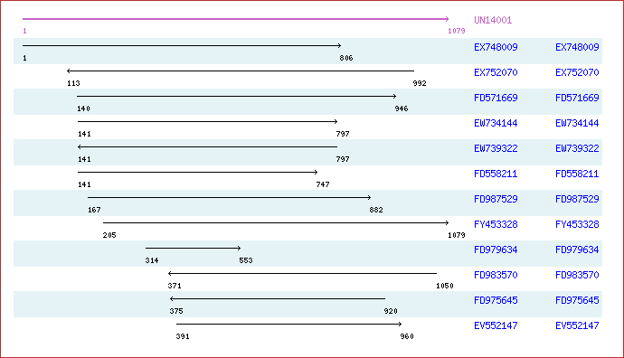 Unigene image