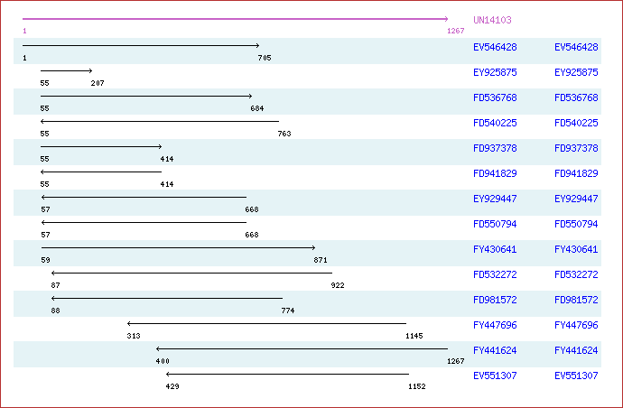 Unigene image