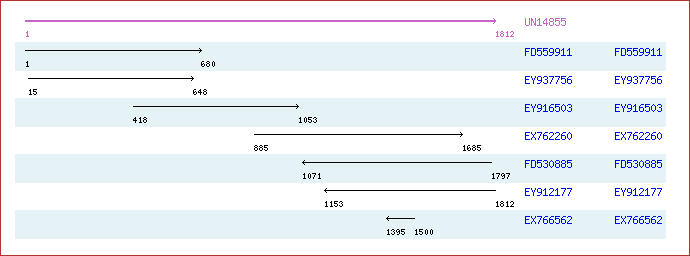 Unigene image