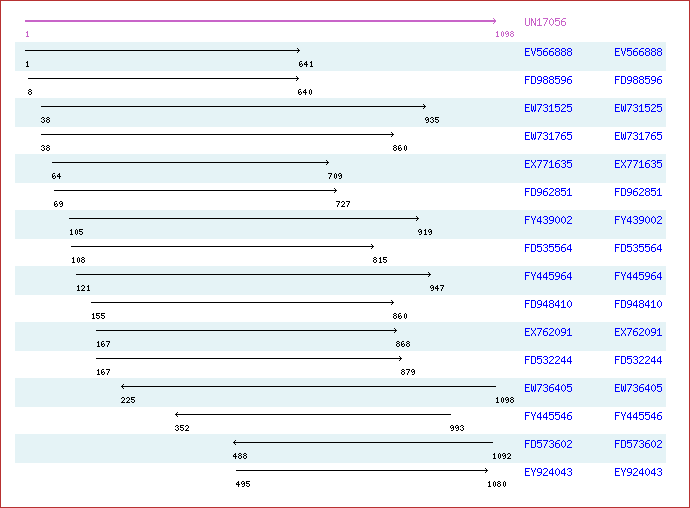 Unigene image