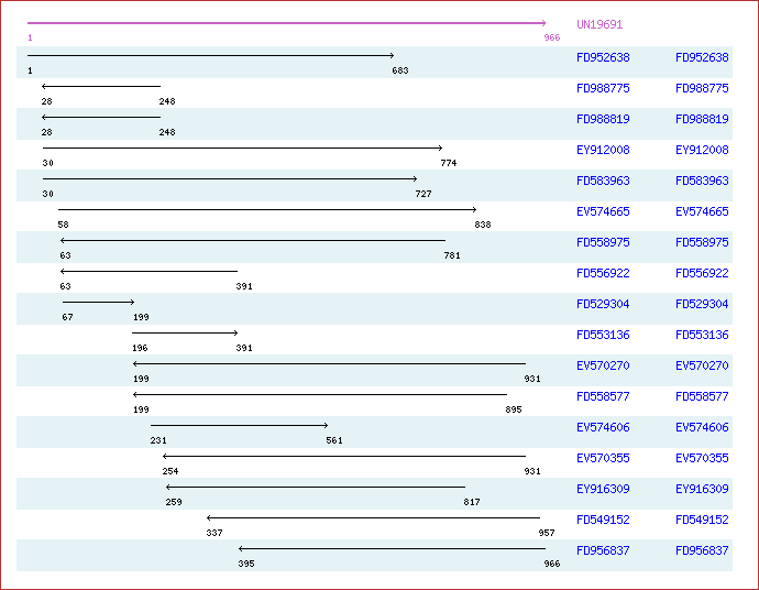 Unigene image